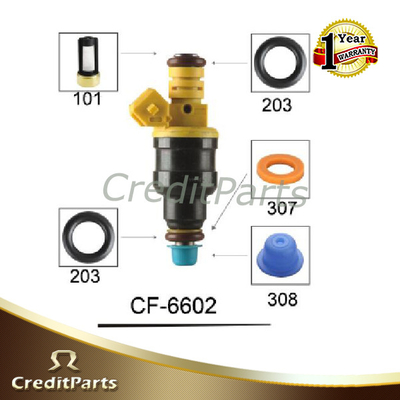Auto Engine Car Fuel Injector Kits CF-6602